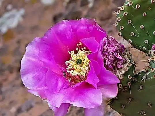 MARTIN сегодня f1a1b9